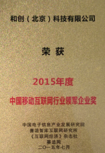 2015中國互聯(lián)網行業(yè)領軍企業(yè)