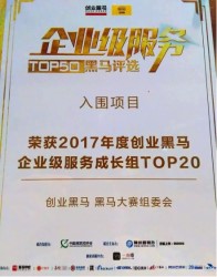 2017年度企業(yè)服務TOP20